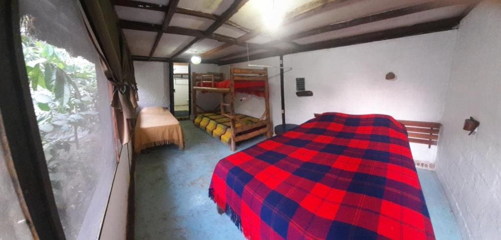 Economy Quadruple Room room - Image 1