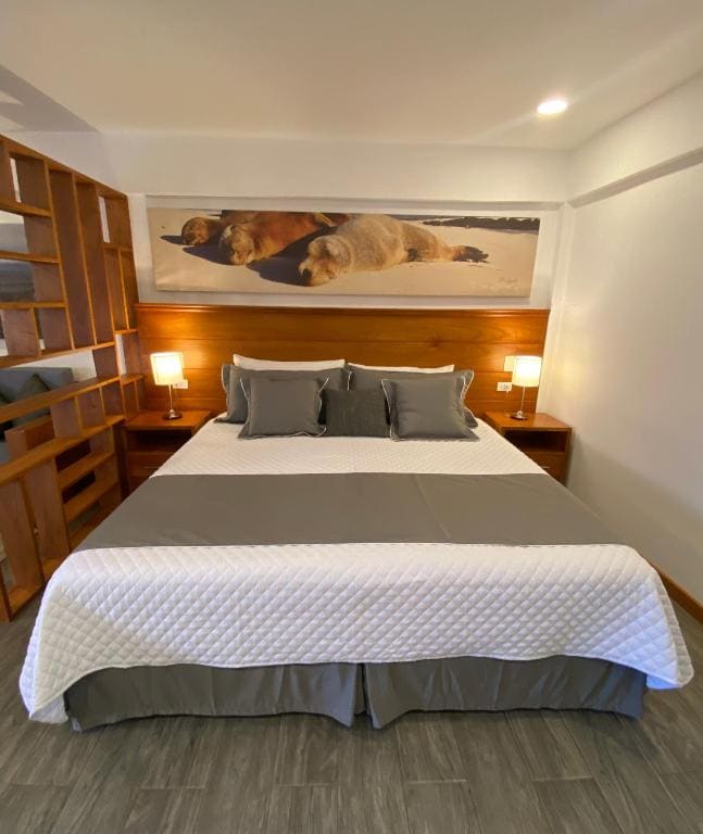 Deluxe Suite room - Image 1