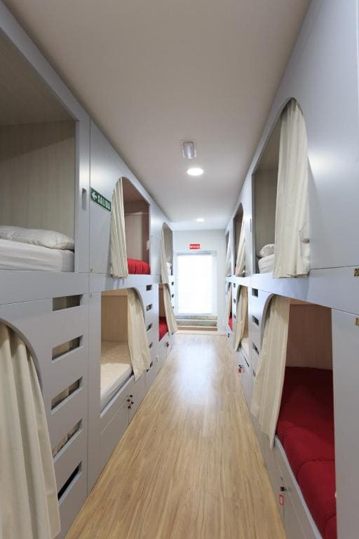 Bunk Bed in Mixed Dormitory Room with Shared Bathroom room - Image 2