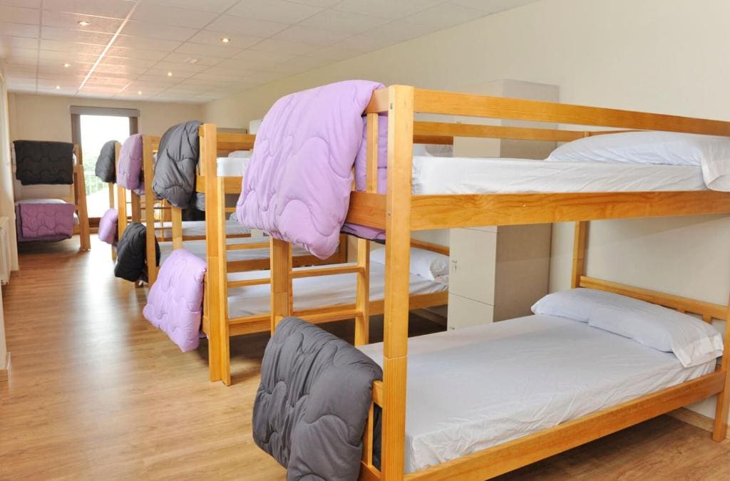 Bunk Bed in Mixed Dormitory Room room - Image 2
