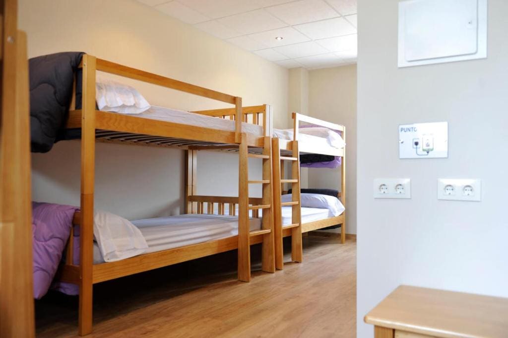 Bunk Bed in Mixed Dormitory Room room - Image 1