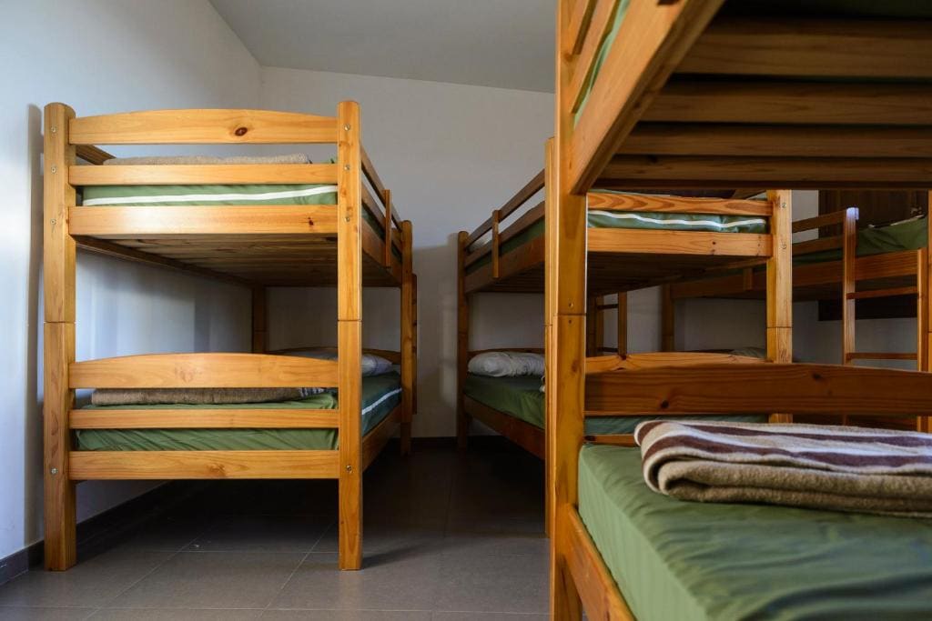 Bunk Bed in Mixed Dormitory Room room - Image 3
