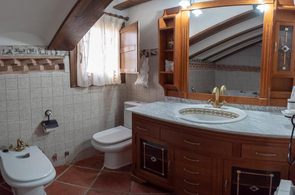 Deluxe Suite with Spa Bath room - Image 3
