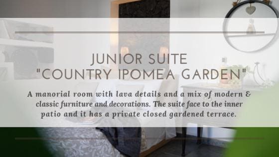 Junior Suite with Terrace room - Image 3