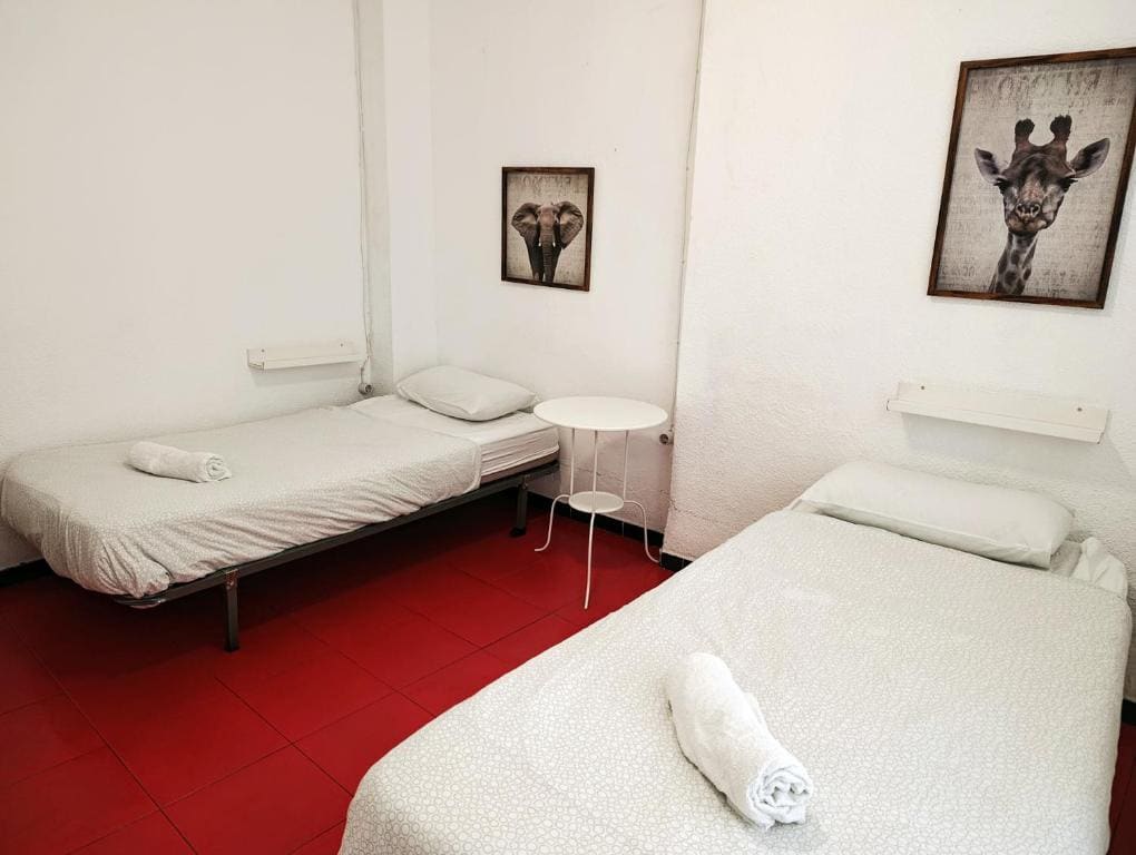 Economy Twin Room room - Image 3