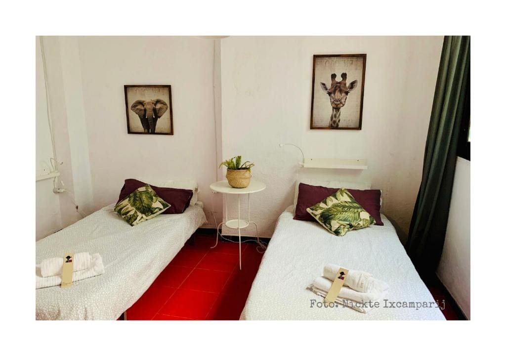 Economy Twin Room room - Image 1