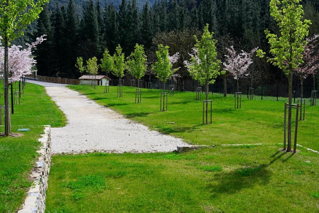 Empty spot Superior without electricity for your own tent, caravan, van or motorhome room - Image 1