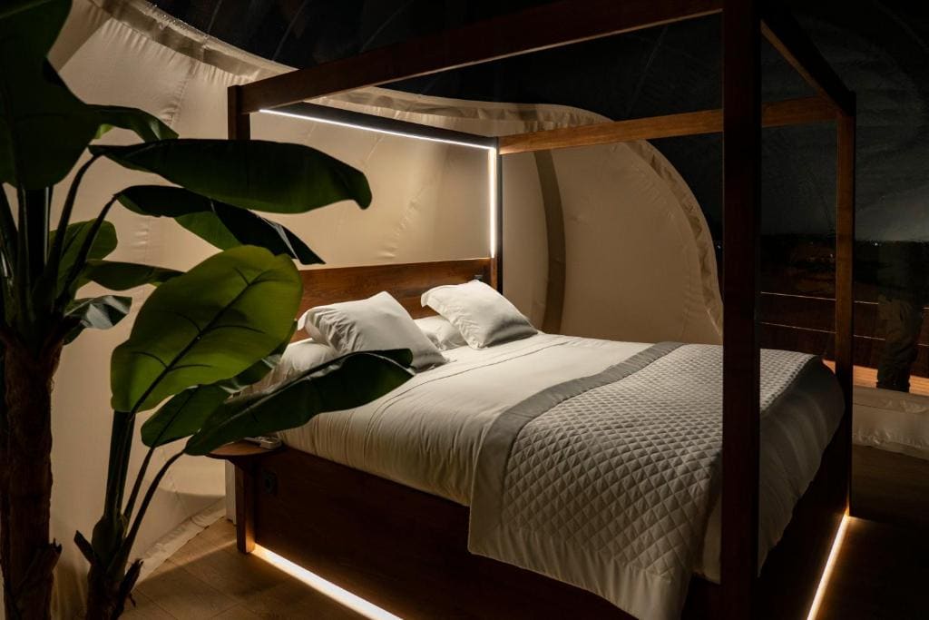Standard Double Suite room - Image 3