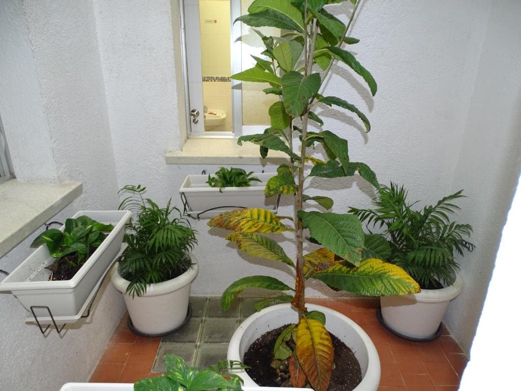 Double Room with Private Bathroom room - Image 2