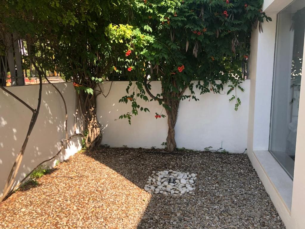 Triple Room with Terrace room - Image 1