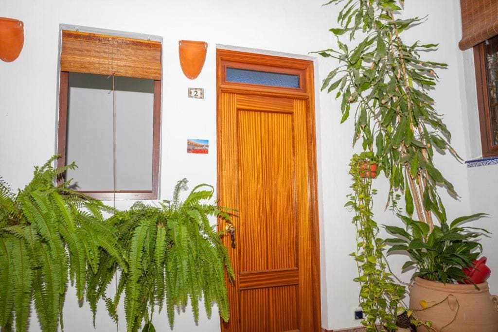 Single Room with Shared Bathroom room - Image 3
