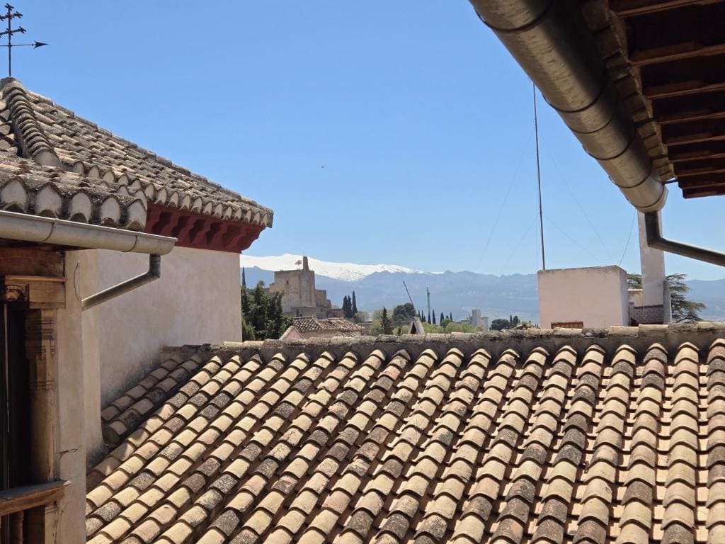 Deluxe Double or Twin Room with Alhambra View room - Image 3
