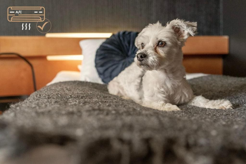 Furry Friends lemmikkihuone room - Image 2