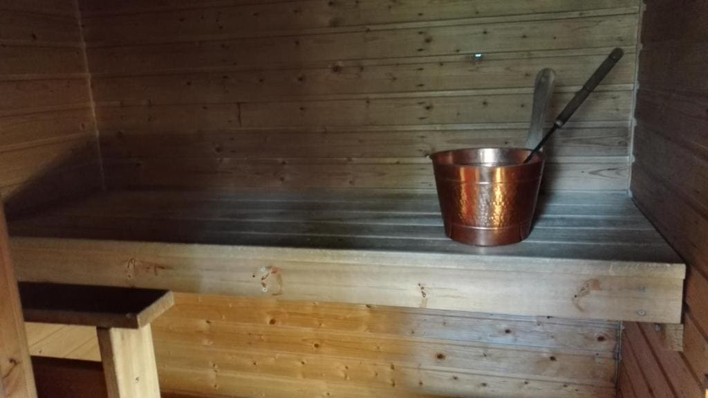 Family Room with Sauna room - Image 3