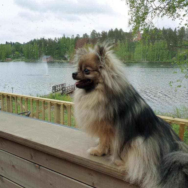 Iglu Cottage with Lake View room - Image 2