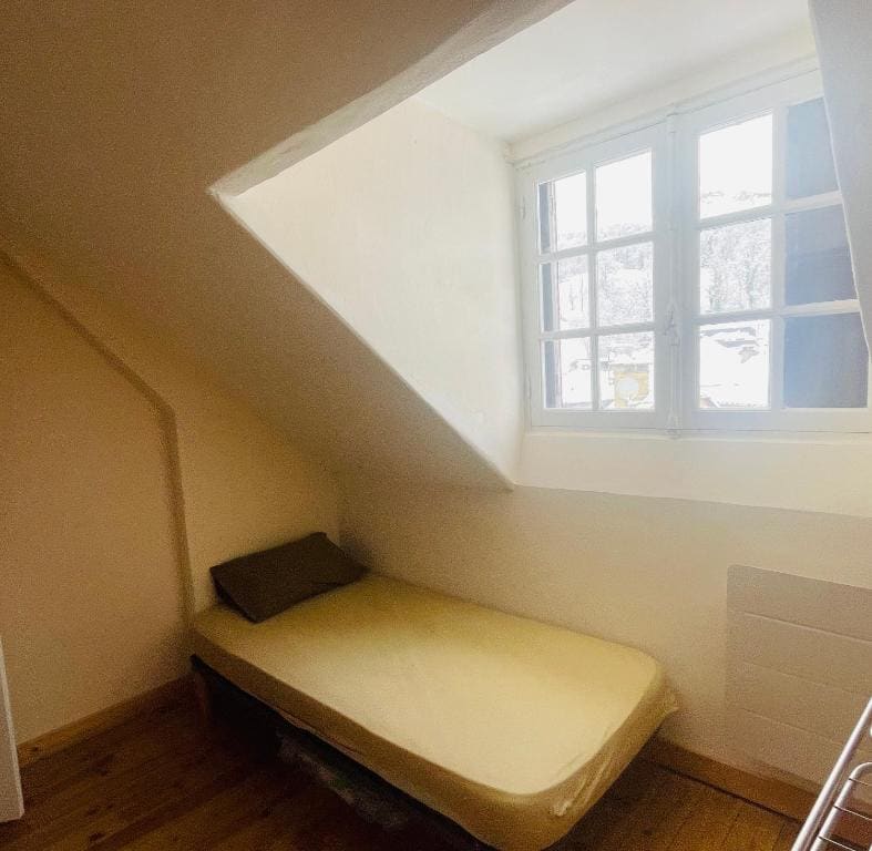 Single Bed in Mixed Dormitory Room room - Image 1