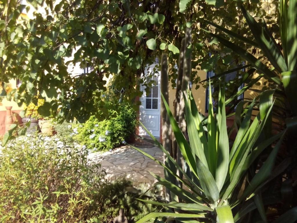 Twin Room room - Image 1