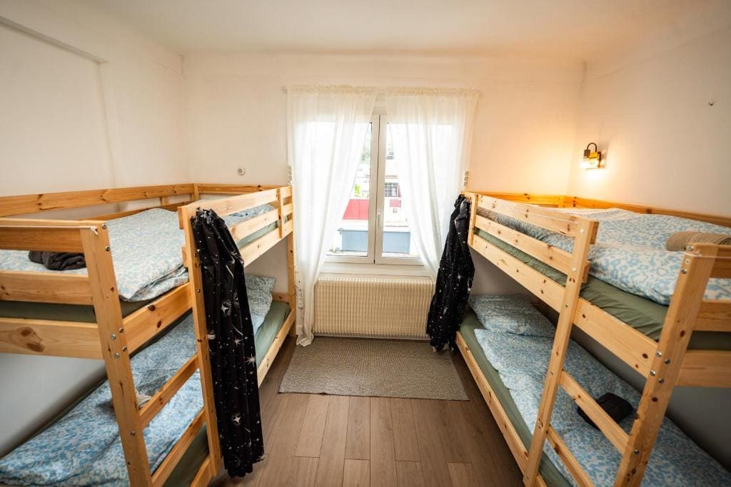 Bunk Bed in Mixed Dormitory Room room - Image 2