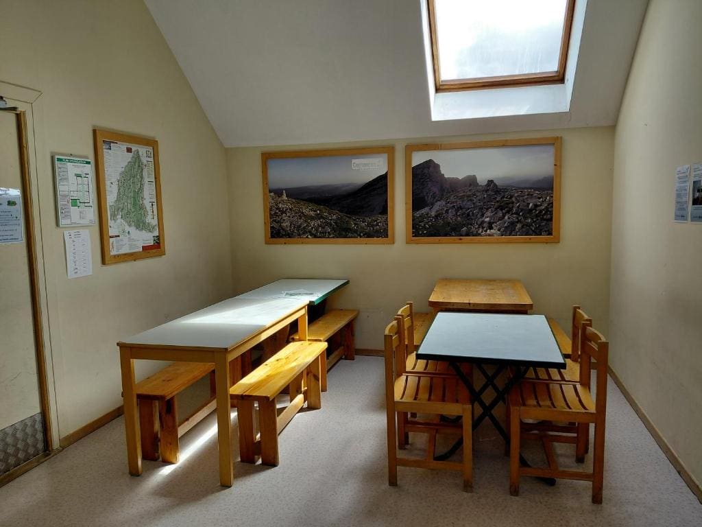 Bunk Bed in Mixed Dormitory Room room - Image 2