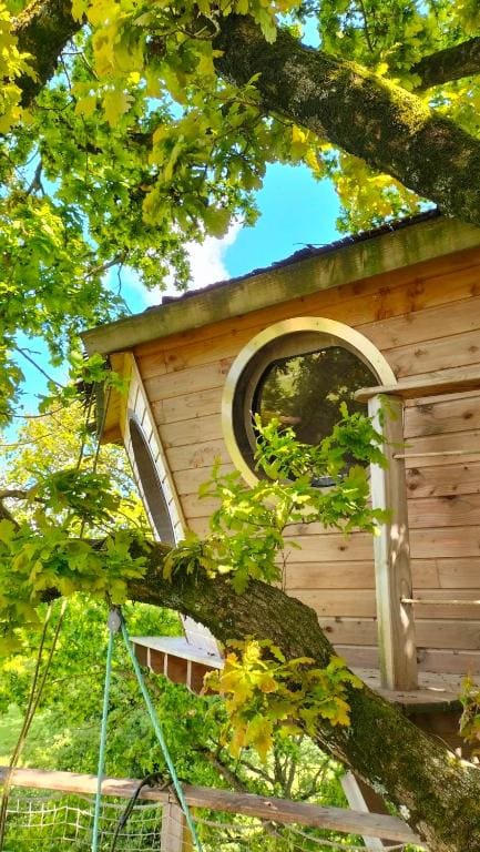 Tree House room - Image 3