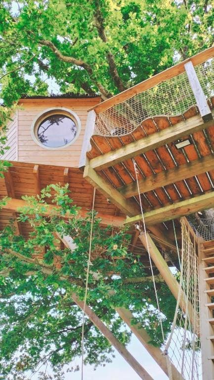Tree House room - Image 2