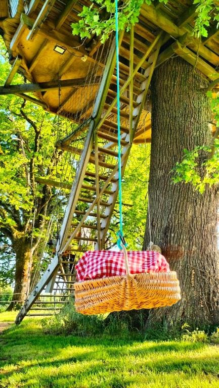 Tree House room - Image 1