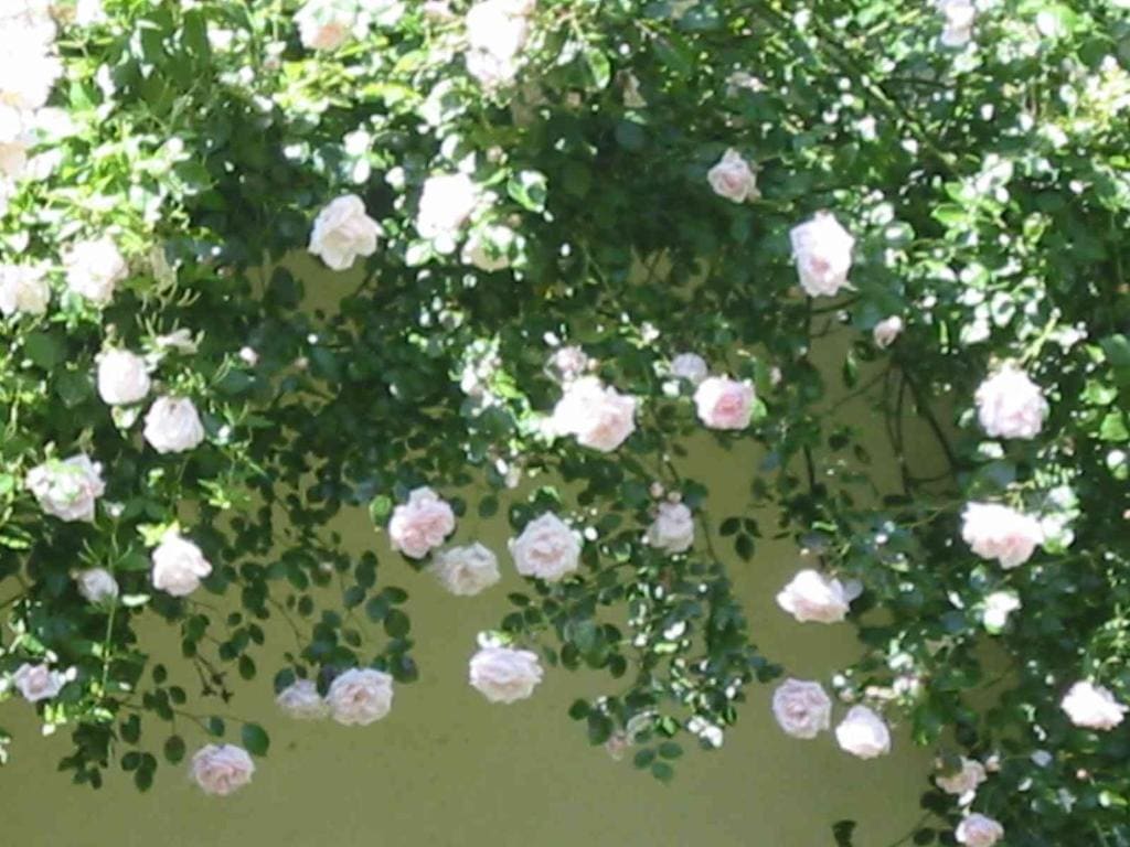 Family Room with Shower room - Image 2