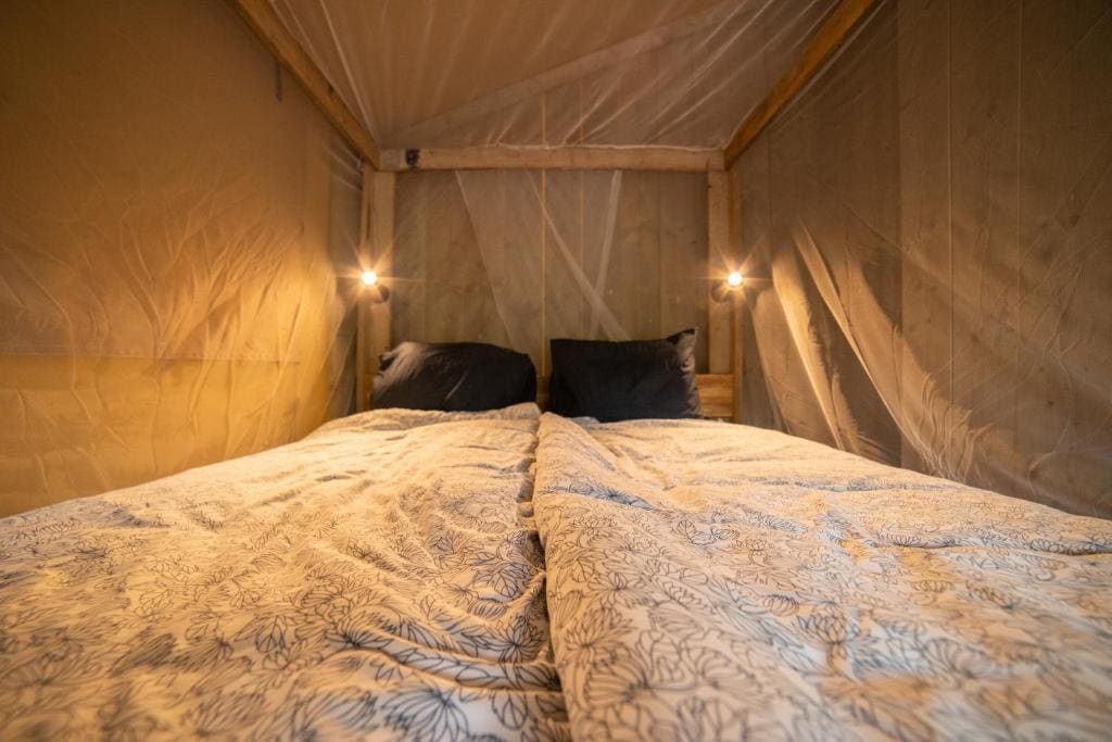 Safari Lodge room - Image 1