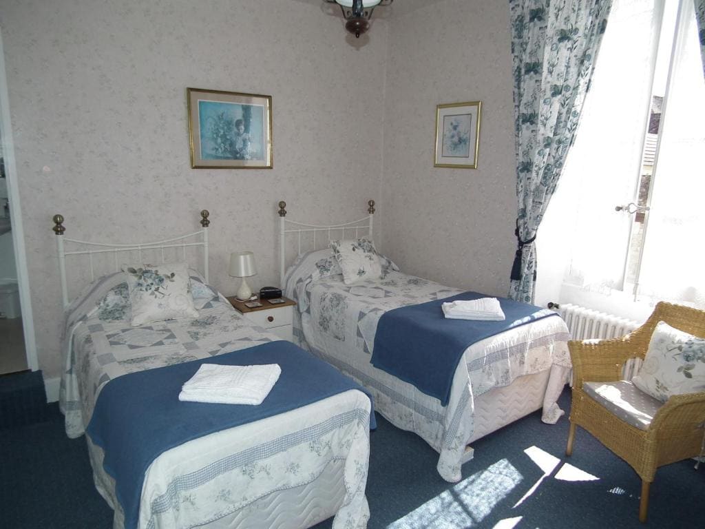 Deluxe Twin Room room - Image 3