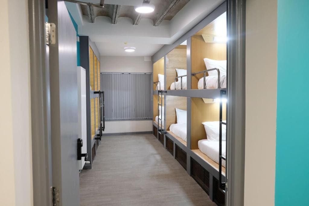 Bunk Bed in 12-bed Mixed Dormitory Room room - Image 1