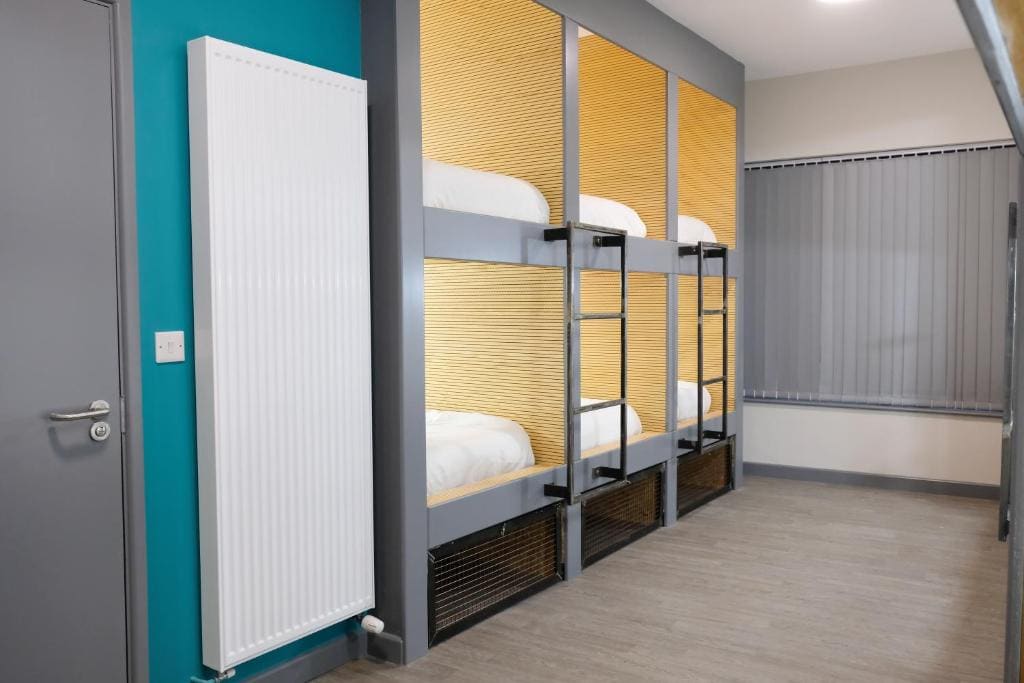 Bunk Bed in 12-bed Mixed Dormitory Room room - Image 2