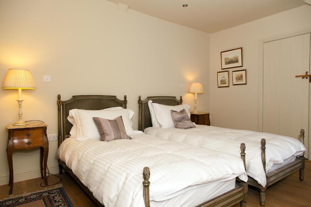 Superior Twin Room room - Image 1