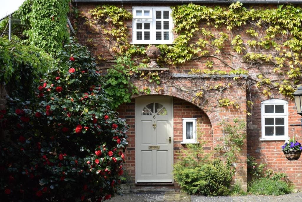 One-Bedroom Cottage room - Image 1
