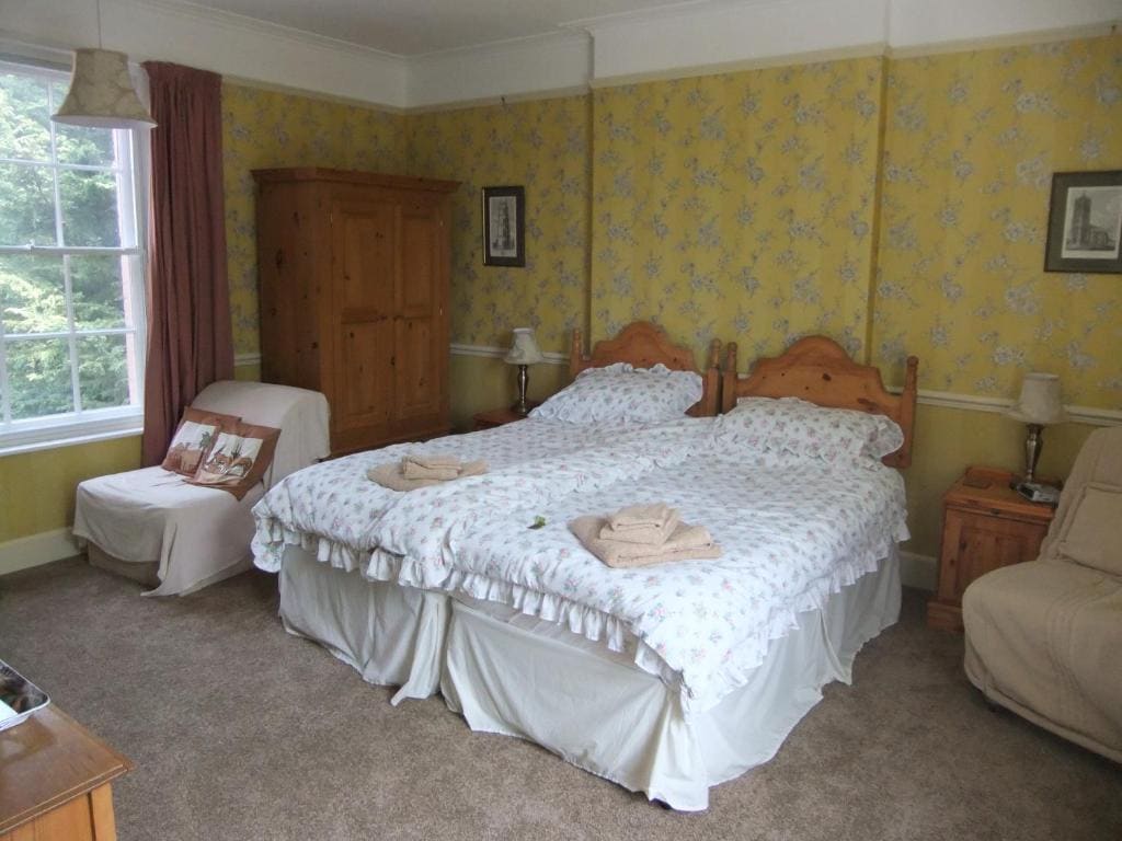 Deluxe Double or Twin Room room - Image 1