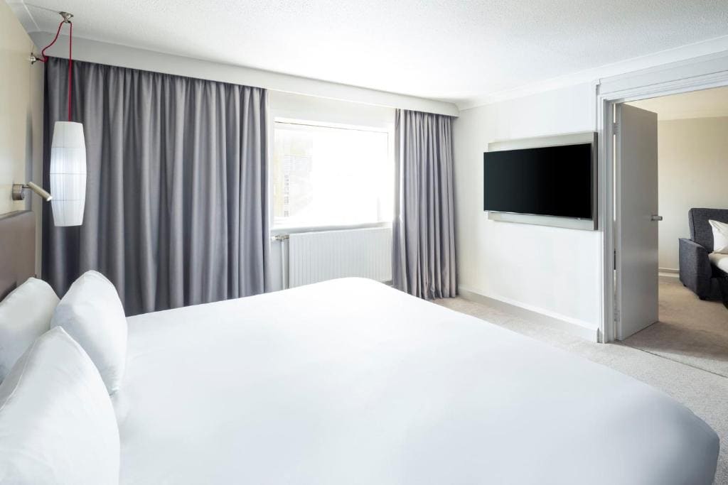 One-Bedroom Suite Lounge Access room - Image 2