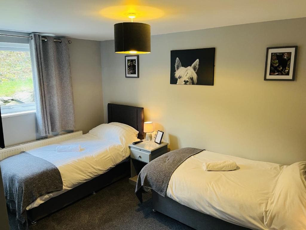 Standard Twin Room room - Image 3