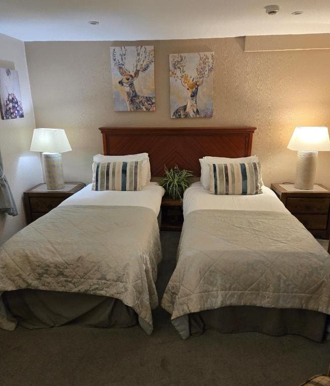 Budget Twin Room room - Image 1