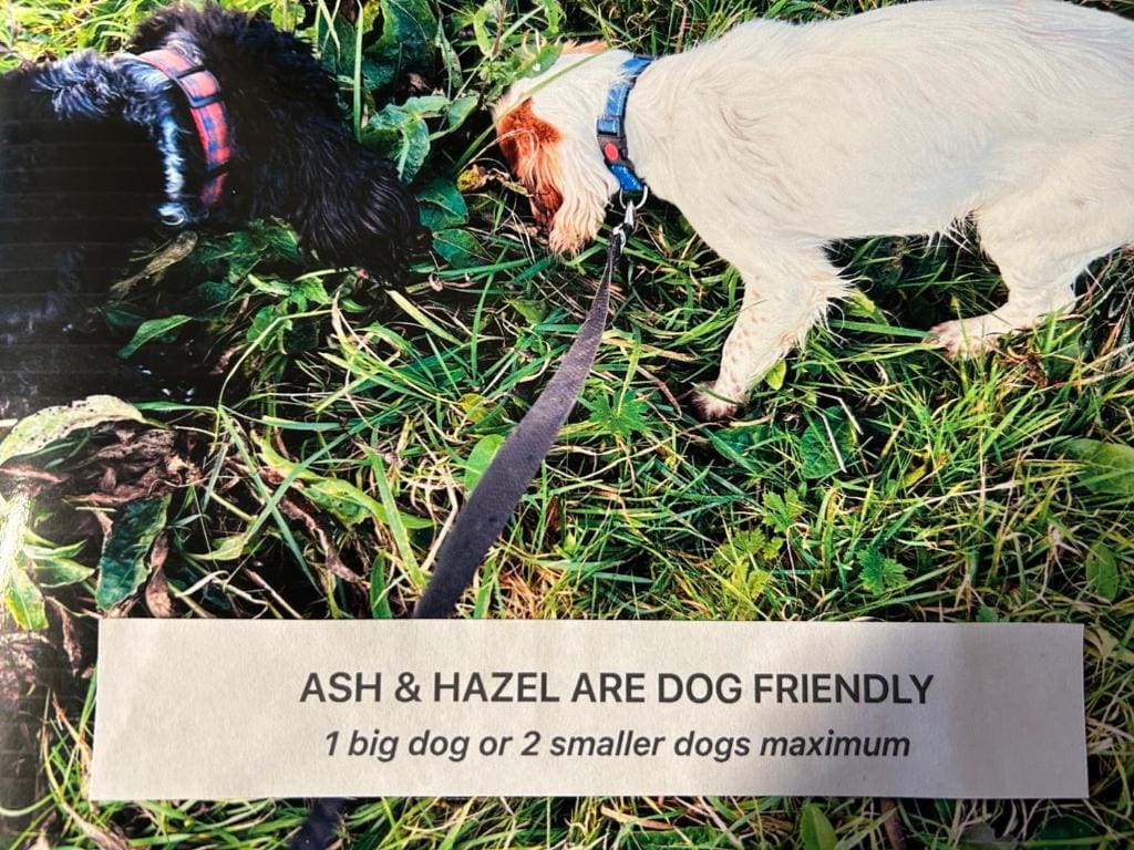 Ash pod (Dog friendly) room - Image 2