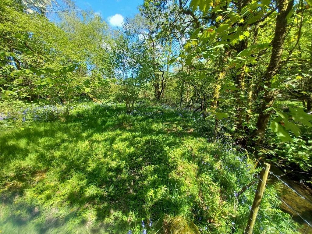 Deluxe Double Room with Shower room - Image 3