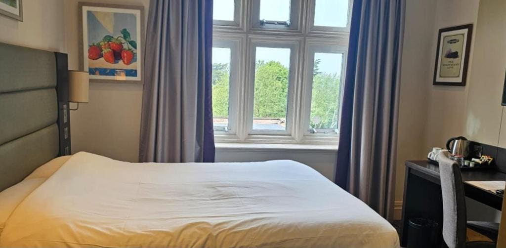 Superior Double Room room - Image 2