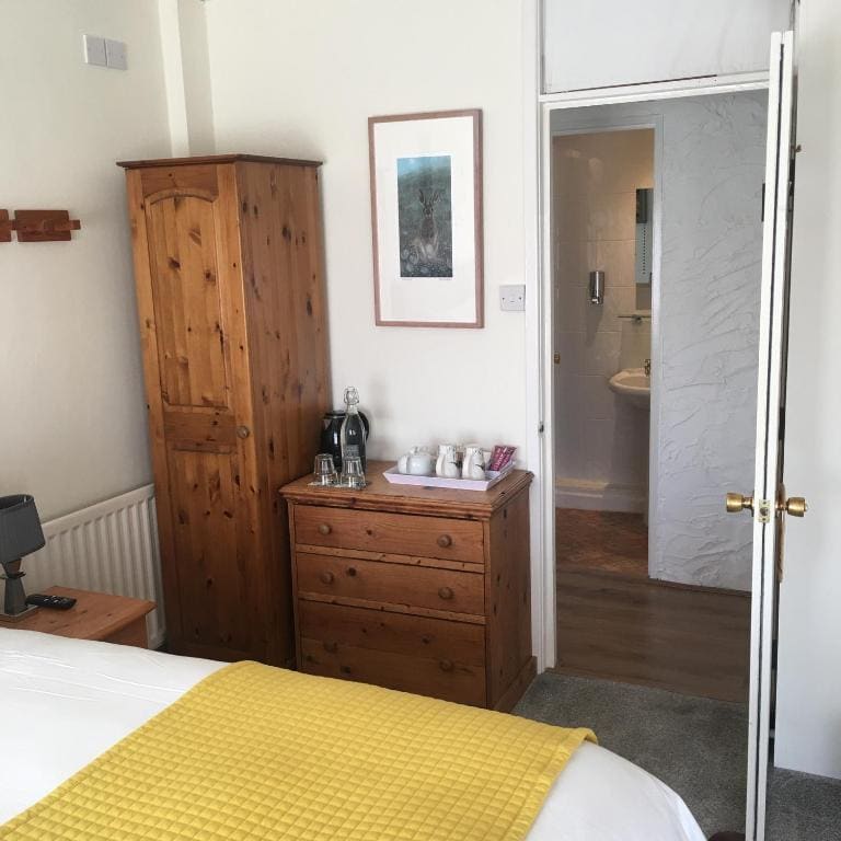 Large Double or Twin Room room - Image 2