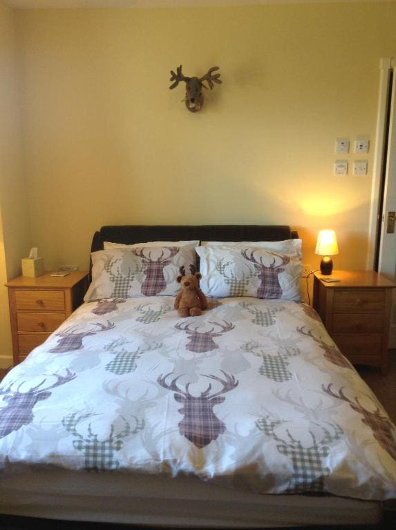 Deluxe Double Room with Shower room - Image 2