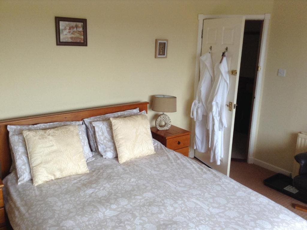King Room with Roll-In Shower - Disability Access room - Image 3