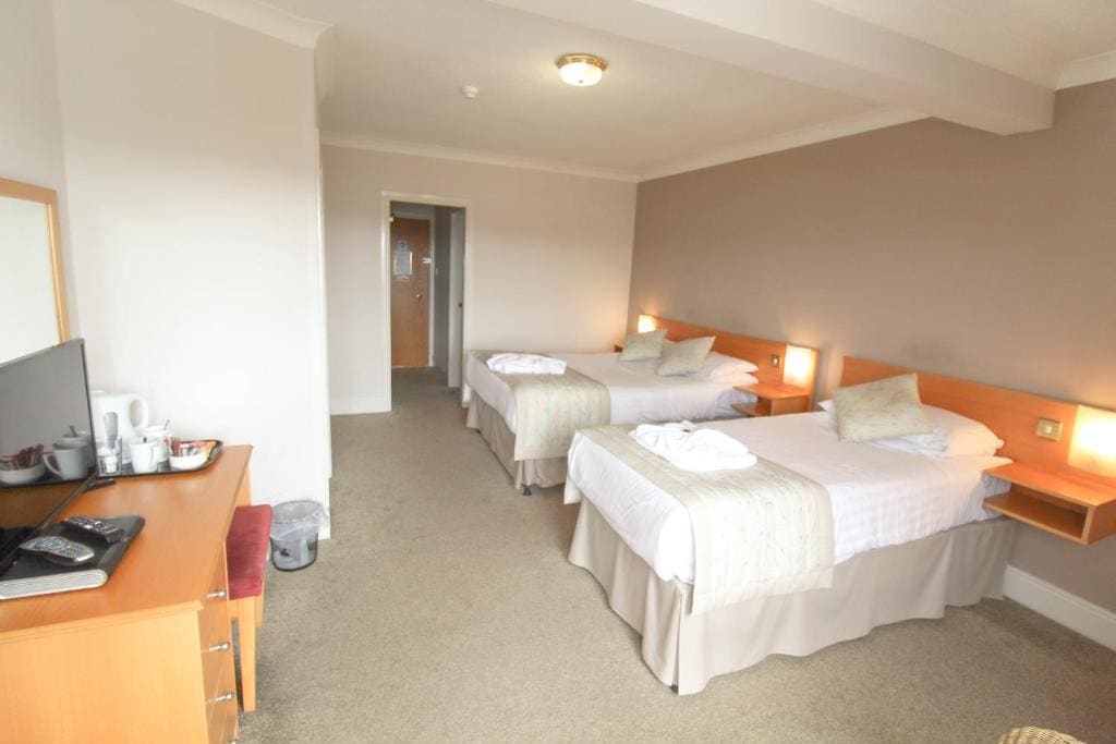 Triple Room (3 Adults or 2 Adults + 1 Child) room - Image 1
