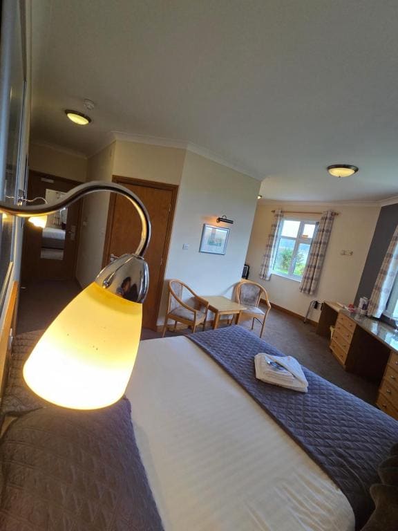 Large Double Room room - Image 1