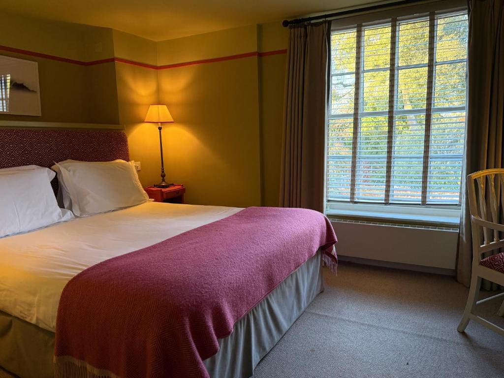 Deluxe King Room room - Image 1