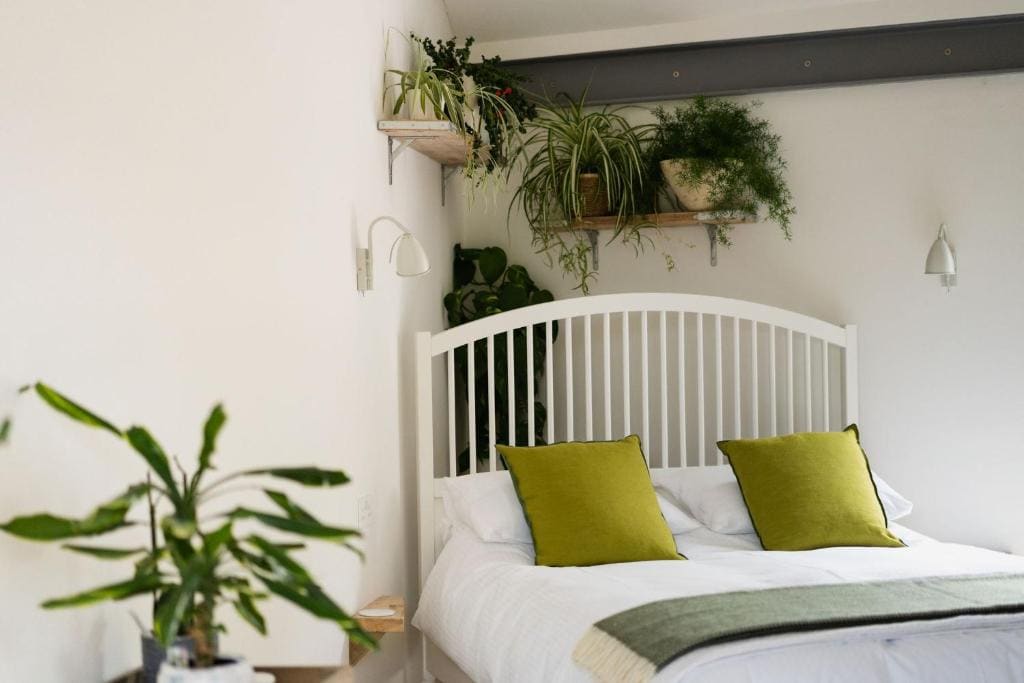 Large Double Room room - Image 2