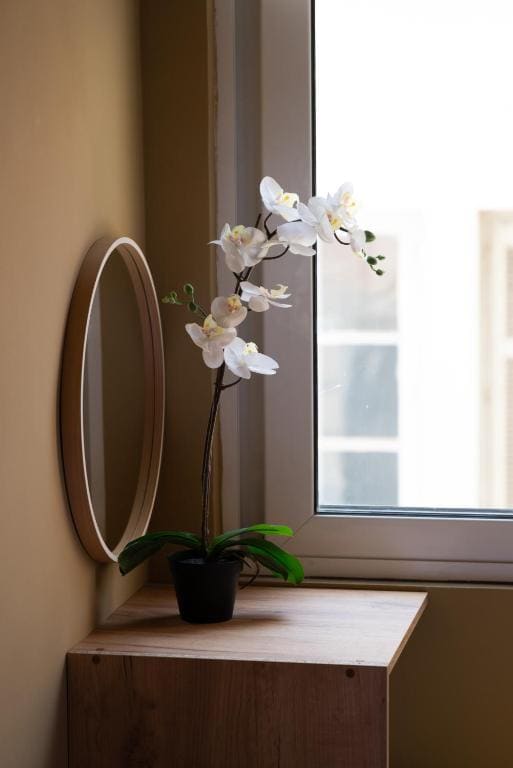Single Room room - Image 2