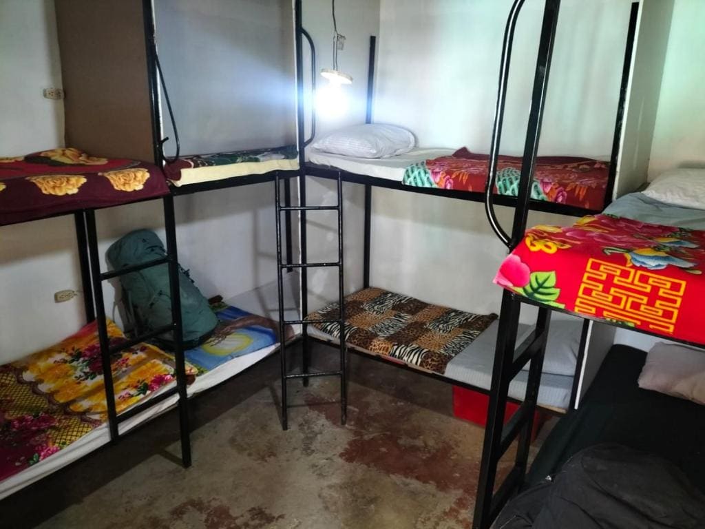 8-Bed Mixed Dormitory Room room - Image 1