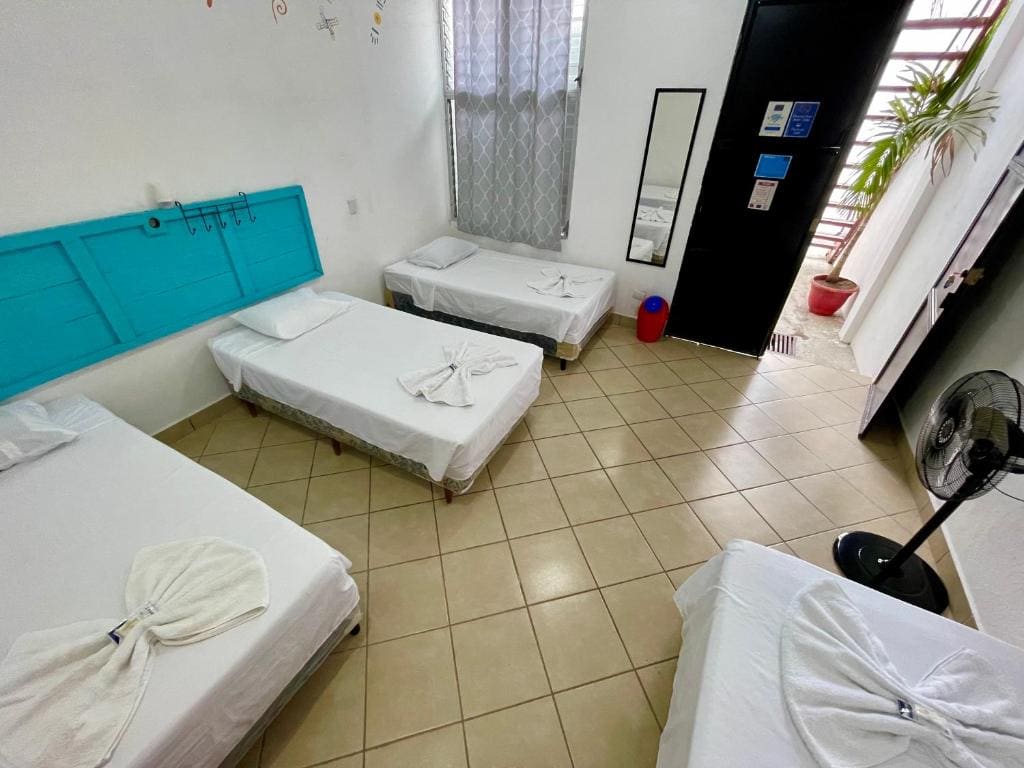 Bed in 4-Bed Dormitory Room room - Image 3